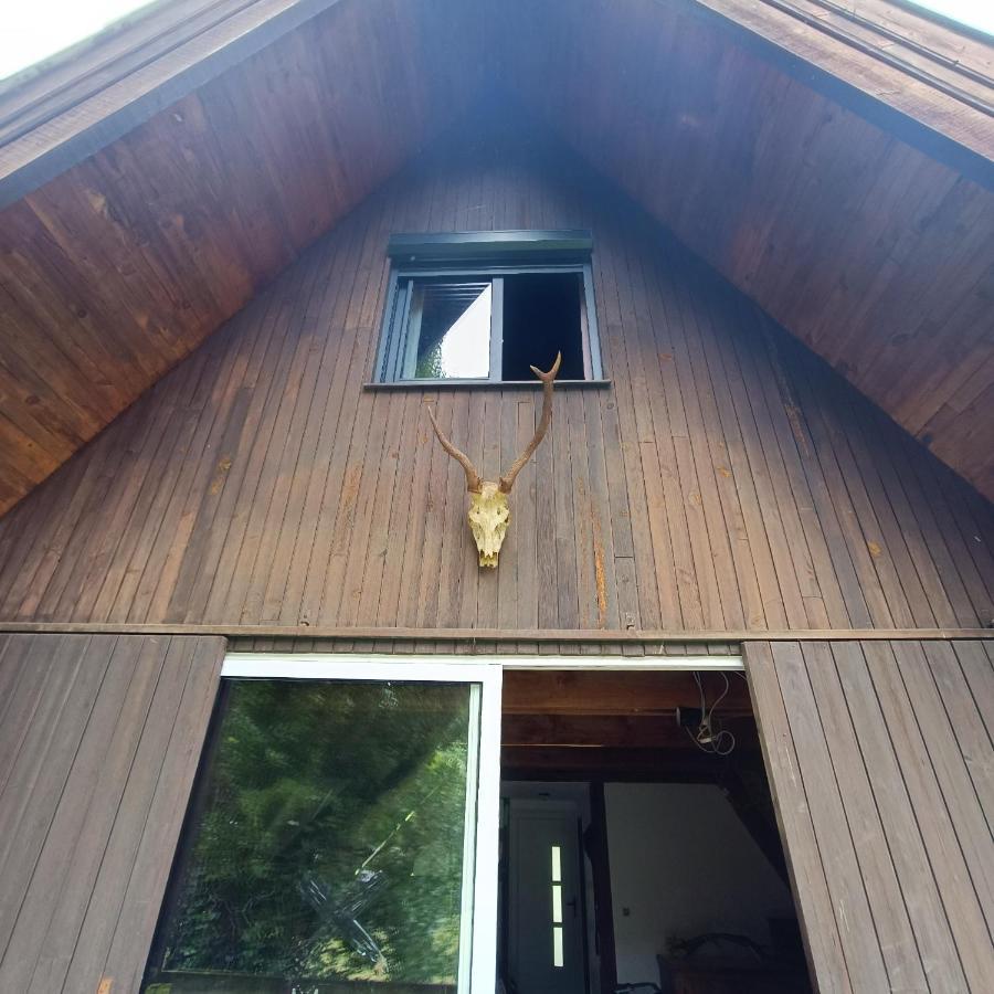 Chalet- Vallee De Luchon - Vallee De La Pique Cierp Exterior photo